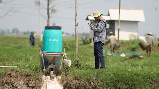 Daily Markup #410: eFishery served 29,500+ Indonesian fish farmers in 2021; Boxgreen contributed over US$70K to inclusive employment; MHub records 2.7x more loans facilitated in 2021